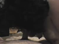 ���� ���� � ��������� 
